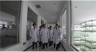 內蒙古自治區副主席常軍政帶領工作組來我公司考察指導 烏蘭察布市市長陶淑菊陪同